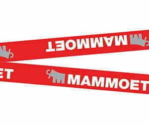 Lanyards - Pack Size 250